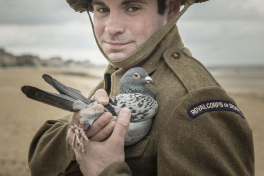 D-Day 75th Anniversary