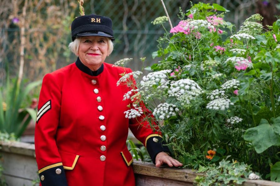 The Royal Signals Veteran: A Photographic Journey